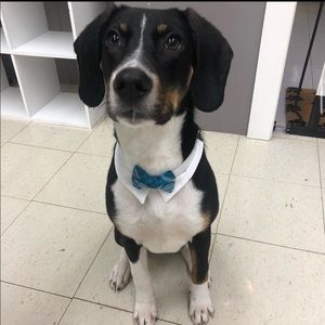 Meet your Posher, Nick